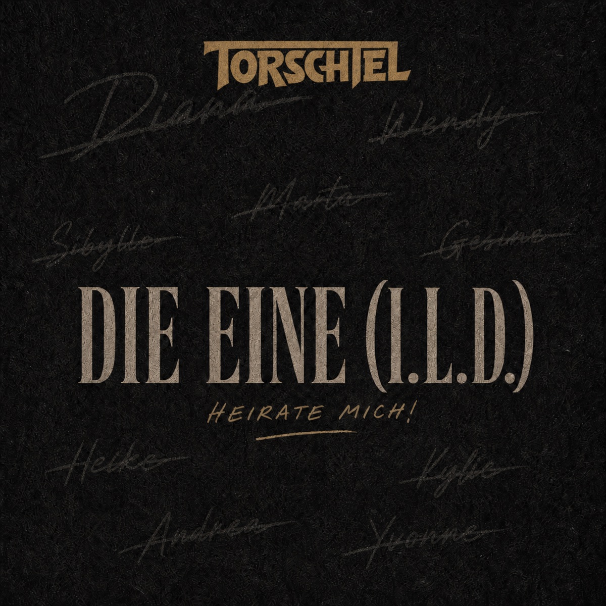 Schwarzes Cover mit goldenem Torschtel-Schriftzug, im Hintergrund blass durchscheinende Vornamen in Handschrift