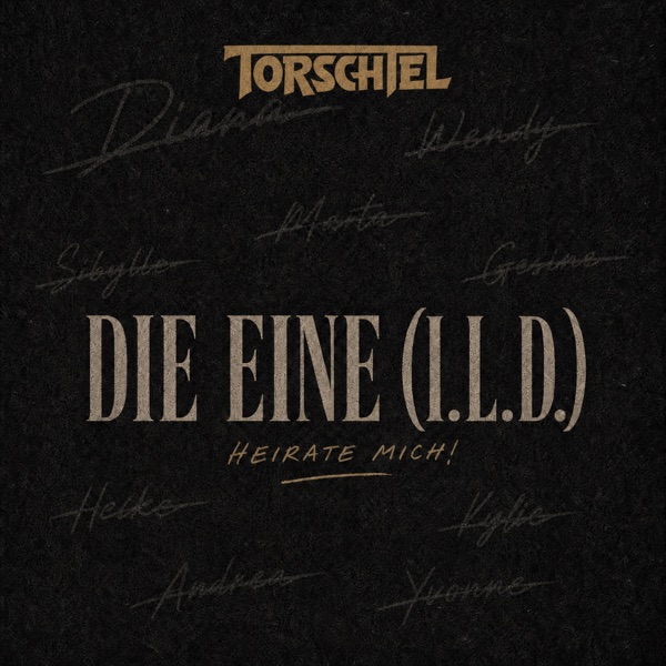 Schwarzes Cover mit goldenem Torschtel-Schriftzug, im Hintergrund blass durchscheinende Vornamen in Handschrift